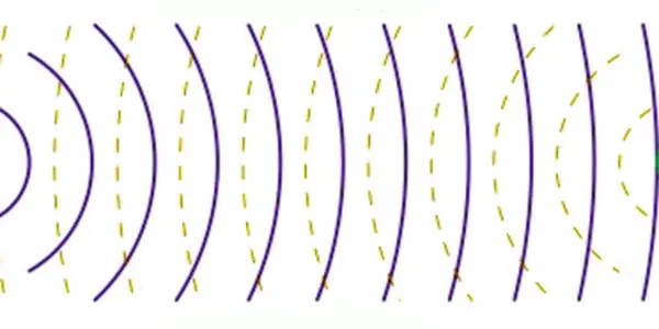 Weekend Science: Learn To Echolocate Like A Bat