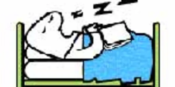 Snoring: Researchers Measure How Annoying It Is
