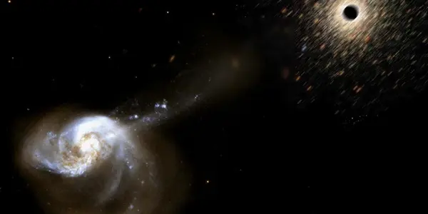 Hypercompact Stellar Systems And How Black Holes Leave Home - Hypothesis