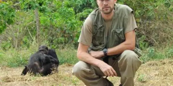 Blame Evolution For Chimpanzee Lethal Aggression, Not Humans