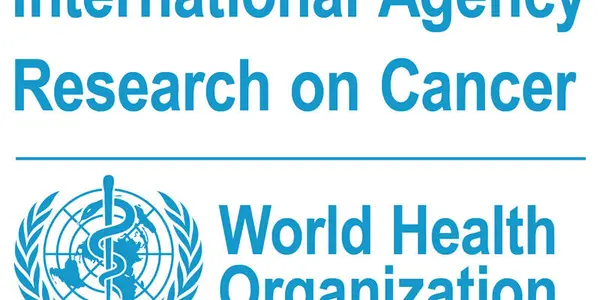 Predicting Who Will Be The Next Director Of IARC