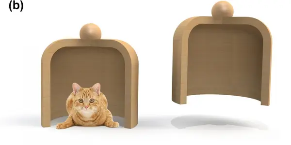 Penalty Kicks By Schroedinger's Cat That Score And Miss At The Same Time