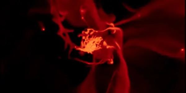 Discovery: Pristine Primordial Gas 12 Billion Years Old