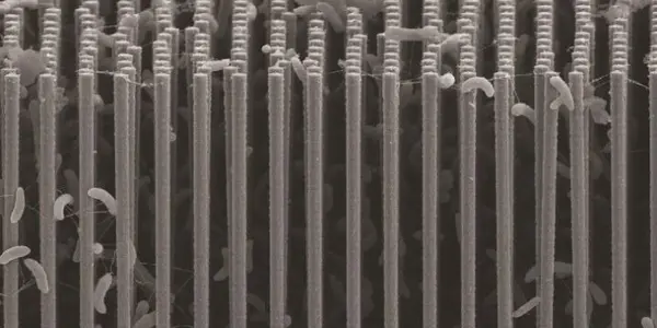 Artificial Photosynthesis: Solar-Powered Green Chemistry Rehabilitates CO2