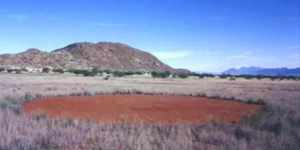 The Mystery Of Fairy Circles In The Namibian Desert - And Why They Look Like Skin Cells