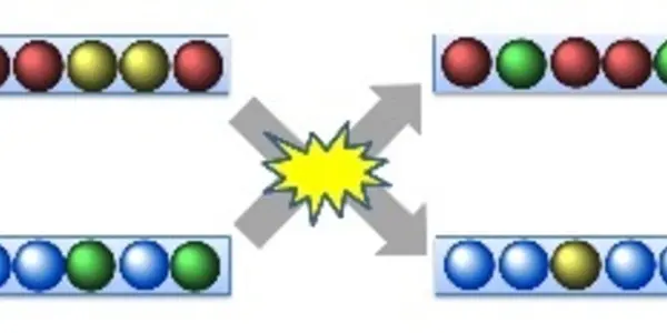 Splitting Black Holes - Take 2