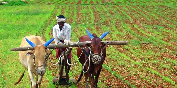 In India, Experts Call On Improved Agricultural Technology To Improve Quality Of Living