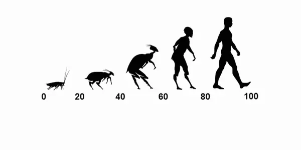 Not Really Human: How Australians See Cyclists
