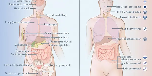 Perhaps Bad Luck And Nature Gave You Cancer, Not Genetics Or Your Lifestyle