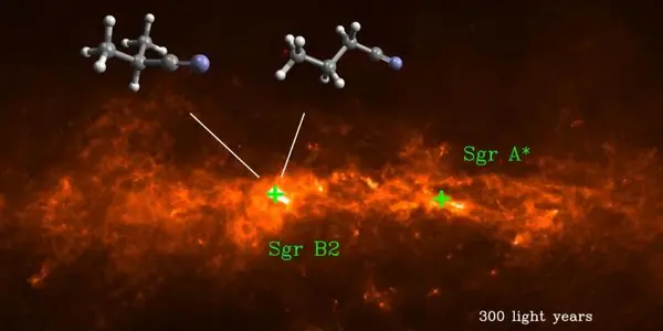 Interstellar Molecules Branch Out