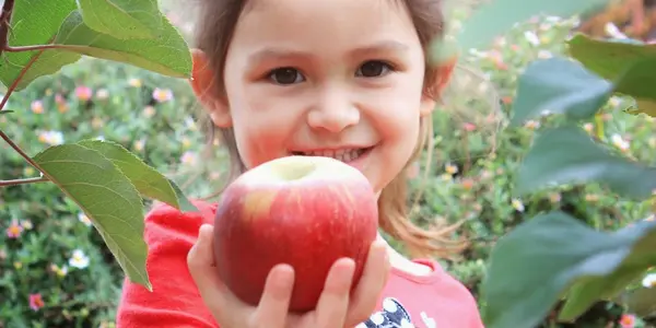 Climate Shifts May Bring New Apple Growing Areas