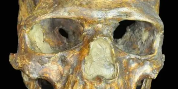 Genetics Show How Earliest Europeans Weathered The Last Ice Age