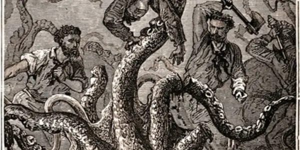 Release The Kraken Genome!