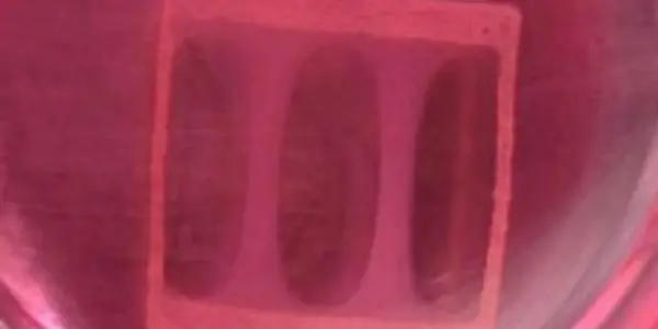 Lab Grown Human Muscle Can Contract And Respond