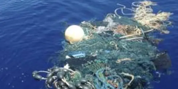 Is Anyone Missing A Lot Of Garbage?  It's In The Pacific Ocean