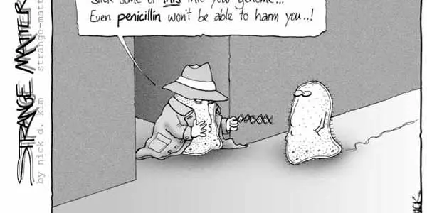 Fighting Antibiotic Resistance
