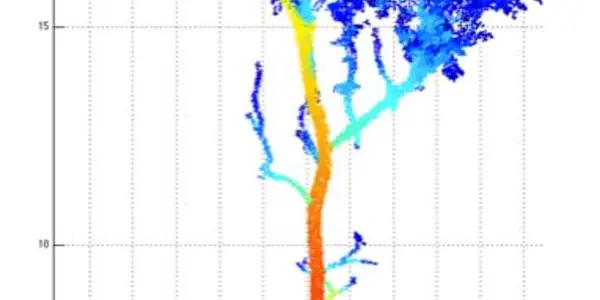 Weighing Trees - Now With Lasers