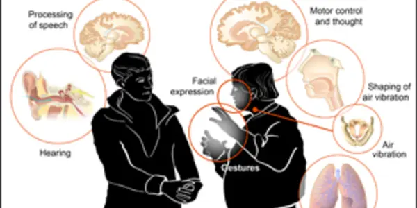 The Power of Communication: Psychology of Words and Language Revealed