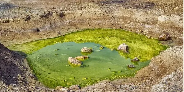 The Big Oil Company Behind Those Lithium Mines Being Stripped For Electric Cars