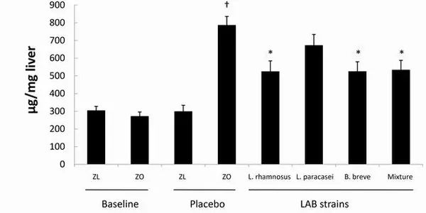 Probiotics Linked To Diminished Fat Accumulation In The Liver - Study