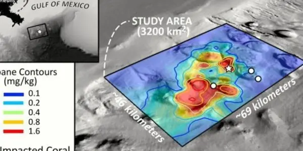 Where Did All The Oil From The Deepwater Horizon Spill Go?
