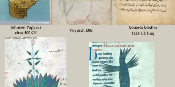 The Voynich Manuscript Part 5 : The Baghdad Connection