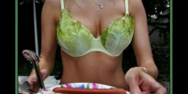 Vegetarian Diet More Likely To Cause Heart Disease And Cancer