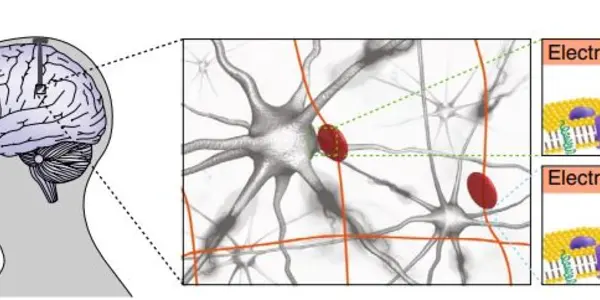 Precision Electronic Medicine And The Future Of Mind Control