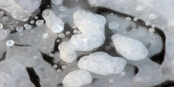 Methane-Generating Microbes In Arctic Lake Sediments Will Increase Production With Warming