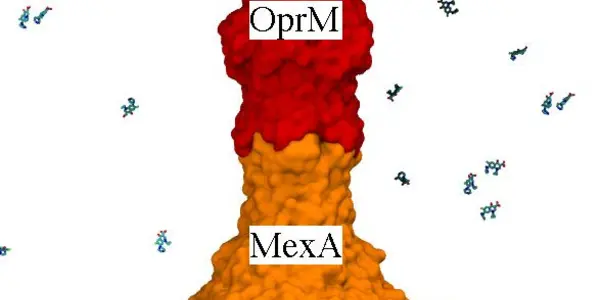 Making Antibiotic-Resistant Bacteria Treatable Again