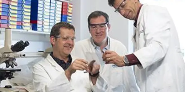 In 2014, Over 80 Percent Of Bowel Cancers Are Halted With Medicines