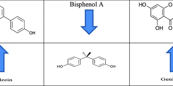 Mind The (Risk Perception) Gap On BPA
