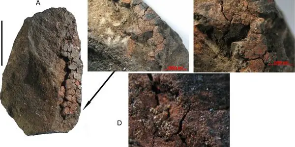 Milk-Based Paint Of 47,000 B.C.