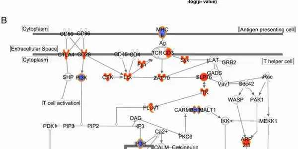 Epigenetics Of Being Without Electricity For A Few Days