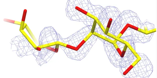 Sugar Science: Half Of Structural Data On Carbohydrates May Be Flawed