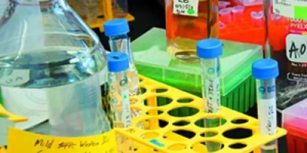 Pushing More Math, Science Linked To More High School Dropouts Among Minorities