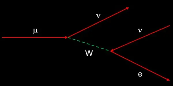 Searching For Impossibly Rare Decays