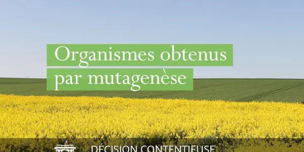 Organic Vegetables, Bread, And Pasta Are About To Get Banned in France