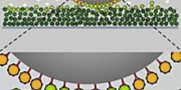 Dirty Velcro Inside The Nuclear Pore