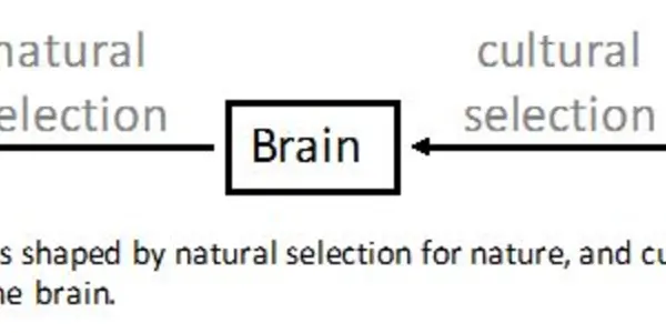 How To Put Art And Brain Together