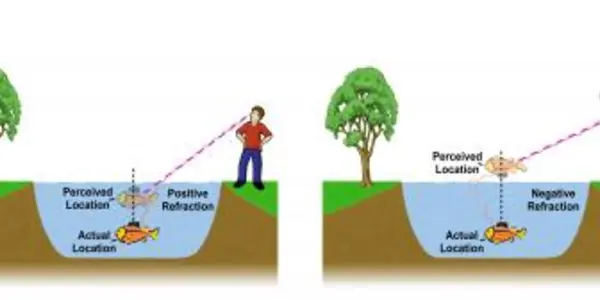 Research into Metamaterials May Pave the Road to Invisibility