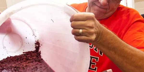Ellagic Acid In Red Wine Could Help You Burn Fat