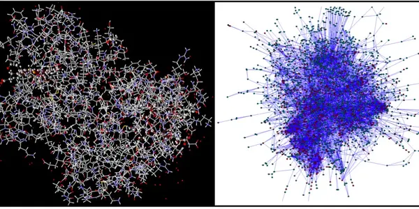 Making Sense of Biological Networks