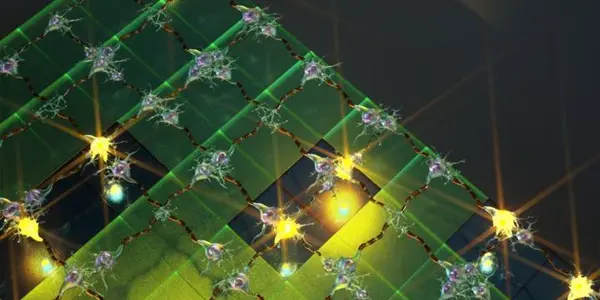 Simple Artificial Neural Circuit A Step Forward In Artificial Intelligence