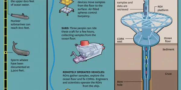 New Microbes That Breathe Sulfate Discovered Beneath Ocean Crust