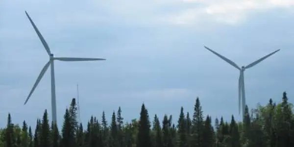 Wind Turbine Or Tree? Bats Can't Tell