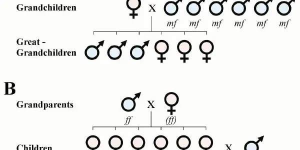Chromosomes Are So 20th Century - Male Genes Really Determine Baby Gender, Says Study