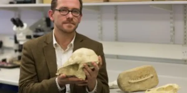 Extinction: The Asteroid That Got The Dinosaurs Almost Got All Mammals Too