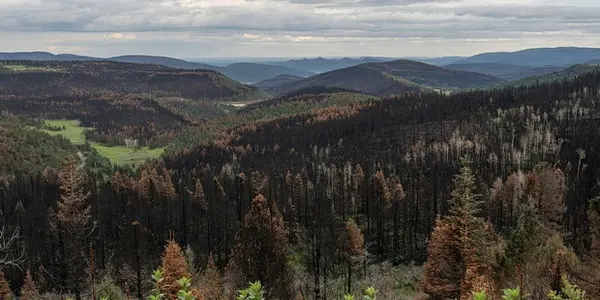 The US Government Caused The Calf Canyon/Hermits Peak Fire - And The Poisoned Water Aftermath
