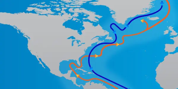 Climate Change Modeling Complication - Ocean Circulation Does Not Work As Expected